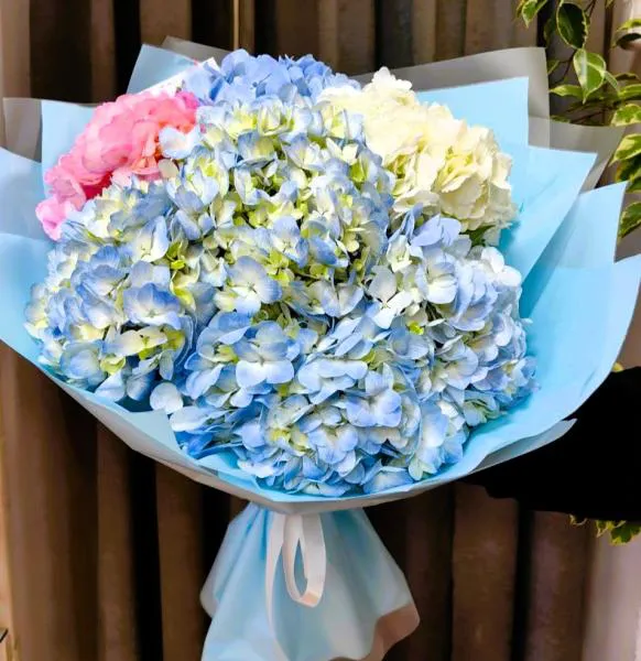 Океан эмоций